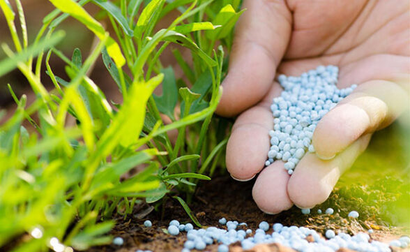 A evolução da indústria de fertilizantes e o respeito à sustentabilidade do planeta!