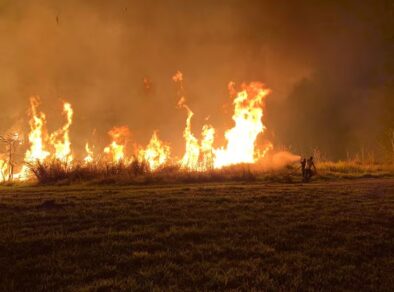 Defesa Civil emite novo alerta para o risco de queimadas no Vale do Paraíba