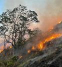 Defesa Civil alerta para novos riscos de queimadas