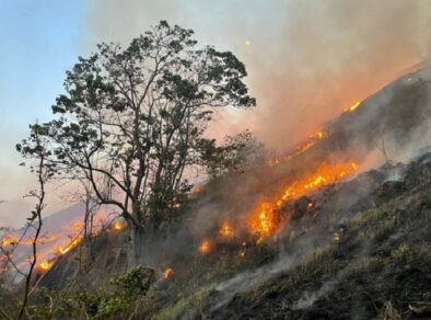 Defesa Civil alerta para novos riscos de queimadas