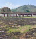 Fazenda visitada por Dom Pedro I pega fogo em São José…