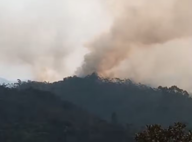 Incêndio atinge Parque Estadual da Serra do Mar em Cunha