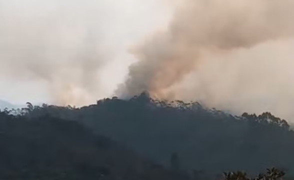 Incêndio atinge Parque Estadual da Serra do Mar em Cunha