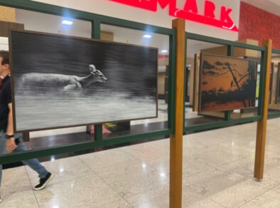 A riquezas naturais de São Francisco Xavier em destaque no Colinas Shopping