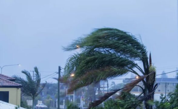 Defesa Civil de SP alerta para fortes rajadas de vento de até 70 km/h