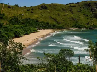 5 atrações imperdíveis para curtir o Litoral Norte de São Paulo