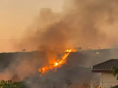 Incêndio atinge área de mata no Urbanova em São José
