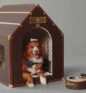 Louis Vuitton cria casa para pets e preço chega a R$…