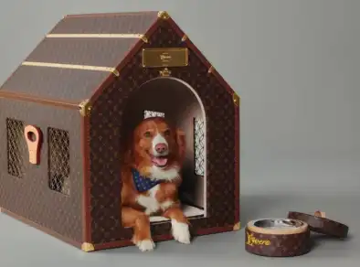 Louis Vuitton cria casa para pets e preço chega a R$ 340 mil