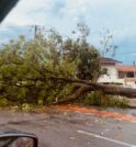 São José monta força-tarefa para limpar a cidade após temporal de…