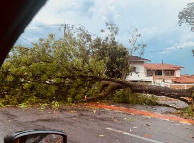 São José monta força-tarefa para limpar a cidade após temporal de ontem (28)