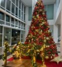 Aluguel de árvores e decorações de Natal está em alta em…