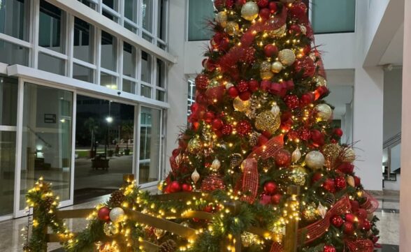 Aluguel de árvores e decorações de Natal está em alta em São José dos Campos