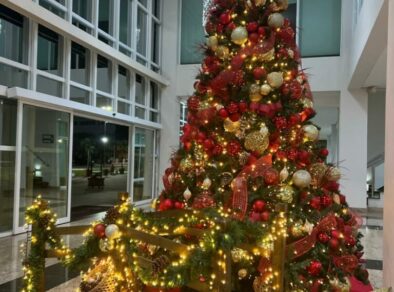 Aluguel de árvores e decorações de Natal está em alta em São José dos Campos