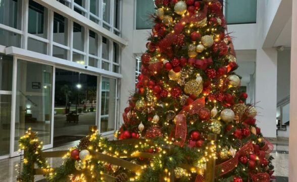 Aluguel de árvores e decorações de Natal está em alta em São José dos Campos