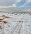 Deserto na Arábia Saudita fica coberto de neve pela primeira vez