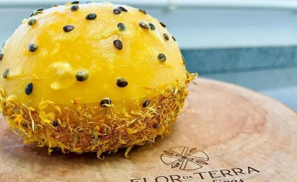 Queijo brasileiro entre os 10 melhores do mundo no World Cheese Awards 2024