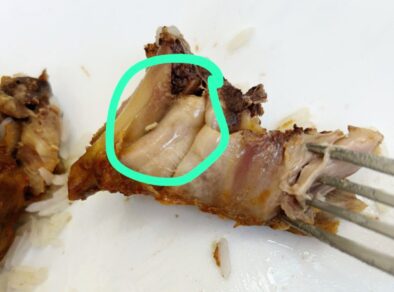 Larva é encontrada em comida da UPA do Alto da Ponte