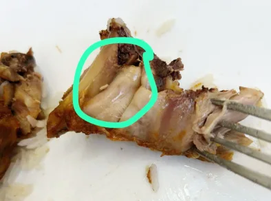 Após funcionário encontrar larva na comida, Prefeitura de São José dos Campos aciona vigilância sanitária