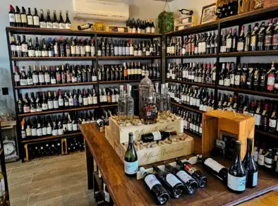 Em Noite de Apresentação Vinho Bar Vinhos de Bicicleta Encanta Convidados