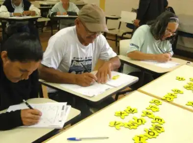Taxa de alfabetização no Brasil atinge recorde histórico de 93%, segundo o IBGE