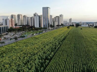 Vendas de lotes no novo bairro no “Terreno das Vaquinhas” esgotaram