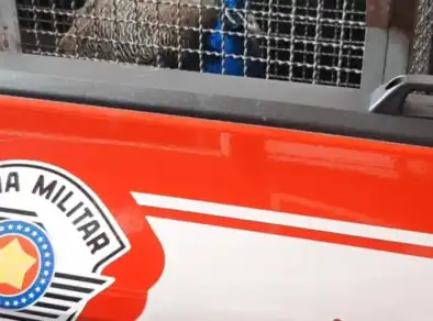 Pavão é resgatado no telhado de uma casa em Caraguatatuba