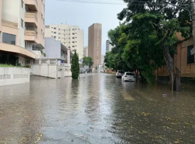 Tempestade com ventos de 101 km/h causa estragos em Taubaté