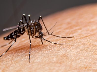 Taubaté entra em situação de alerta para a dengue