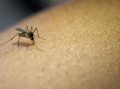 Prefeitura de Jacareí confirma segunda morte por dengue em 2025