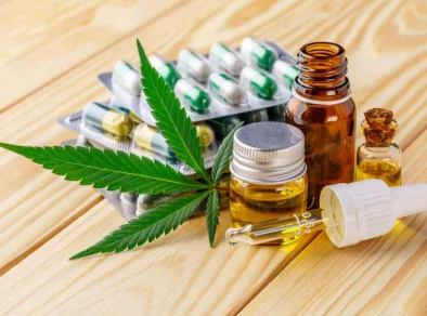 Cannabis: ANVISA abre consulta para revisar regras sobre os produtos no Brasil