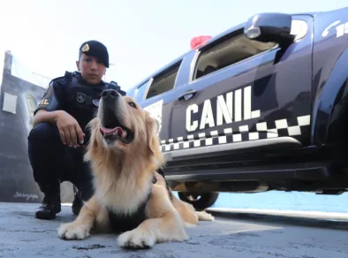 Golden retriever passa a integrar canil da GCM em Jacareí