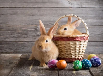 Entenda o motivo dos ovos de chocolate e coelhos serem símbolos da Páscoa
