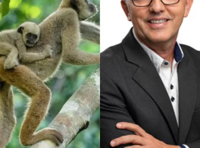 Vereador apresenta projeto para criar ‘Dia do Muriqui’
