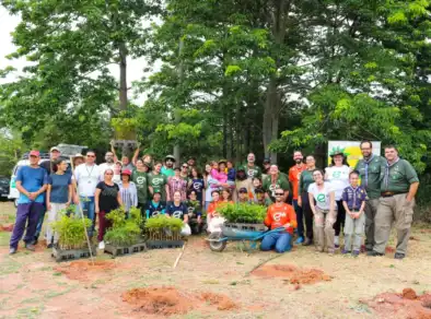 Ecomuseu dos Campos de São José realiza plantio de mais de 10 mil árvores nativas em São José dos Campos