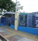 Aulas voltam ao normal após árvore dentro da escola cair em…