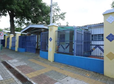 Aulas voltam ao normal após árvore dentro da escola cair em avenida de São José  