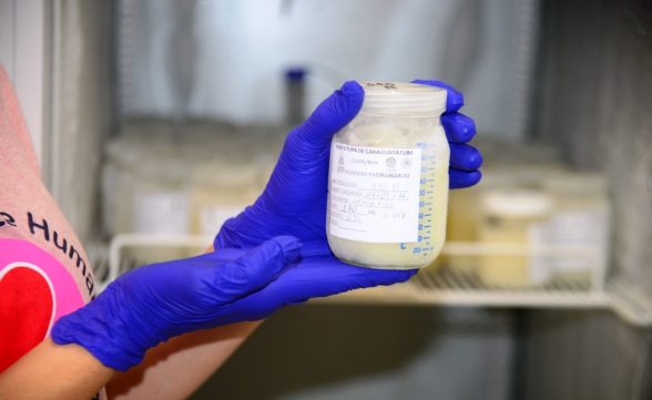 Caraguatatuba promove encontro sobre aleitamento materno e doação de leite humano