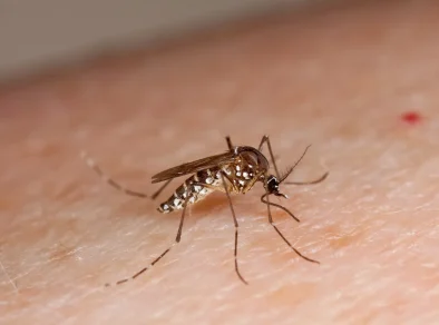Guaratinguetá confirma primeira morte por dengue em 2025 