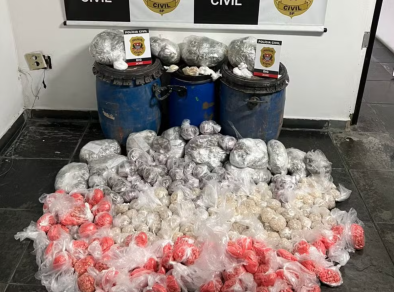 Polícia apreende mais de 27 mil poções de drogas em São José 