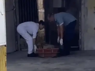 Mulher é encontrada morta pelos vizinhos na Zona Sul em SJC