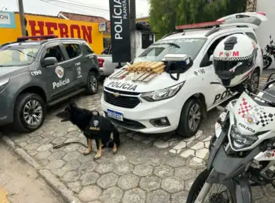Homem é preso com 26 tijolos de maconha em Guaratinguetá