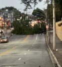 Arvore de escola municipal caí e interdita avenida na zona sul