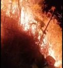 Incêndio atinge 12 mil m² de mata nativa em São Sebastião 