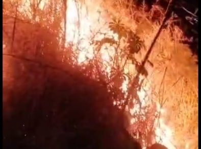 Incêndio atinge 12 mil m² de mata nativa em São Sebastião 