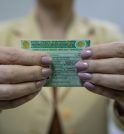 Exame toxicológico passa a ser obrigatório para tirar CNH nas categorias…