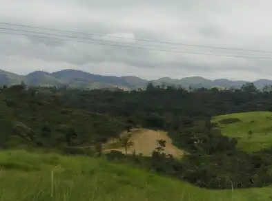 Programa Renascentes já plantou mais de 63 mil mudas em Jacareí