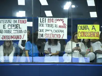 Após manobra, governo tenta assumir protagonismo no projeto que visa sepultamento de nascituros e natimortos