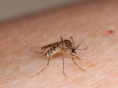 São José dos Campos confirma terceira morte por dengue de 2025