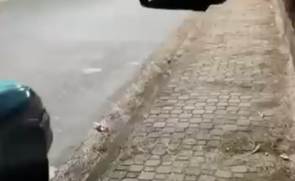 Vídeo mostra cena de sexo explícito em Avenida do Urbanova em São José 